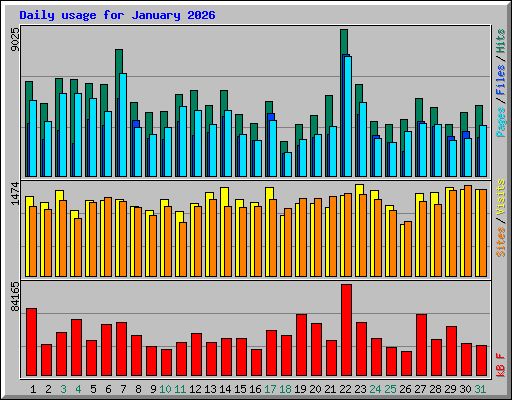 Daily usage for January 2026