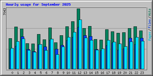 Hourly usage for September 2025