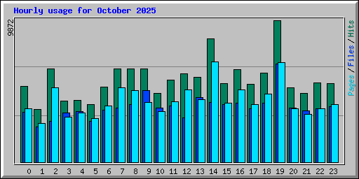 Hourly usage for October 2025