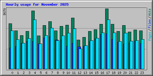 Hourly usage for November 2025
