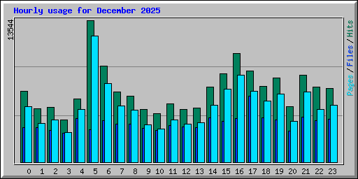 Hourly usage for December 2025