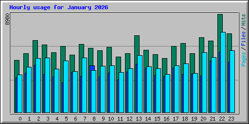 Hourly usage for January 2026