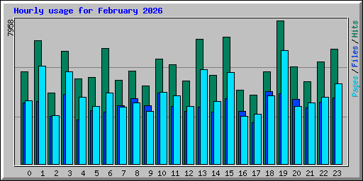 Hourly usage for February 2026