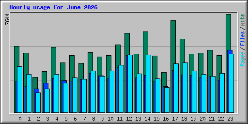 Hourly usage for June 2026
